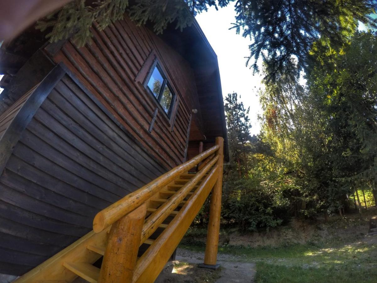 Pensiunea Padina Bran  Esterno foto