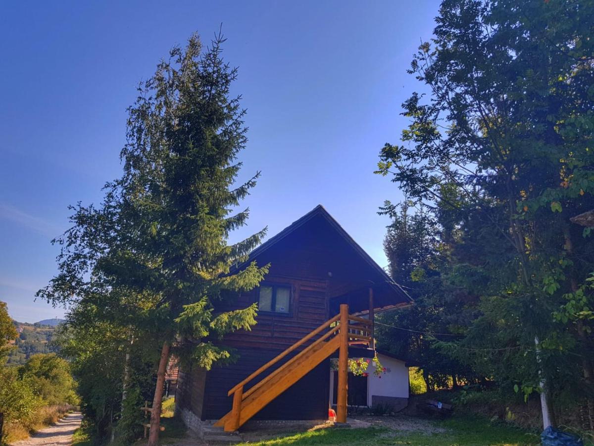 Pensiunea Padina Bran  Esterno foto