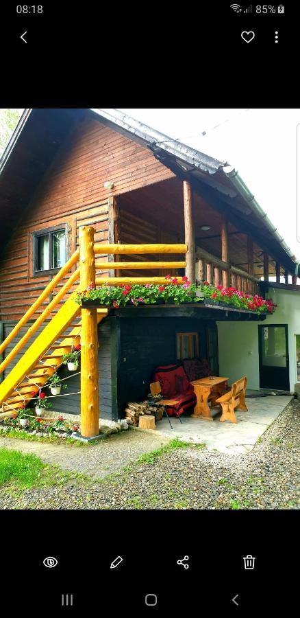 Pensiunea Padina Bran  Esterno foto
