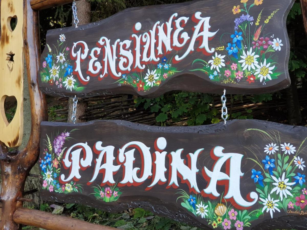 Pensiunea Padina Bran  Esterno foto