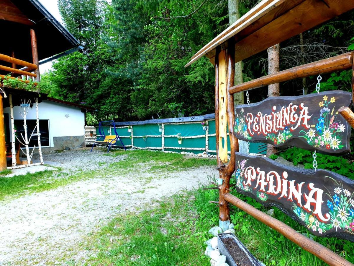 Pensiunea Padina Bran  Esterno foto