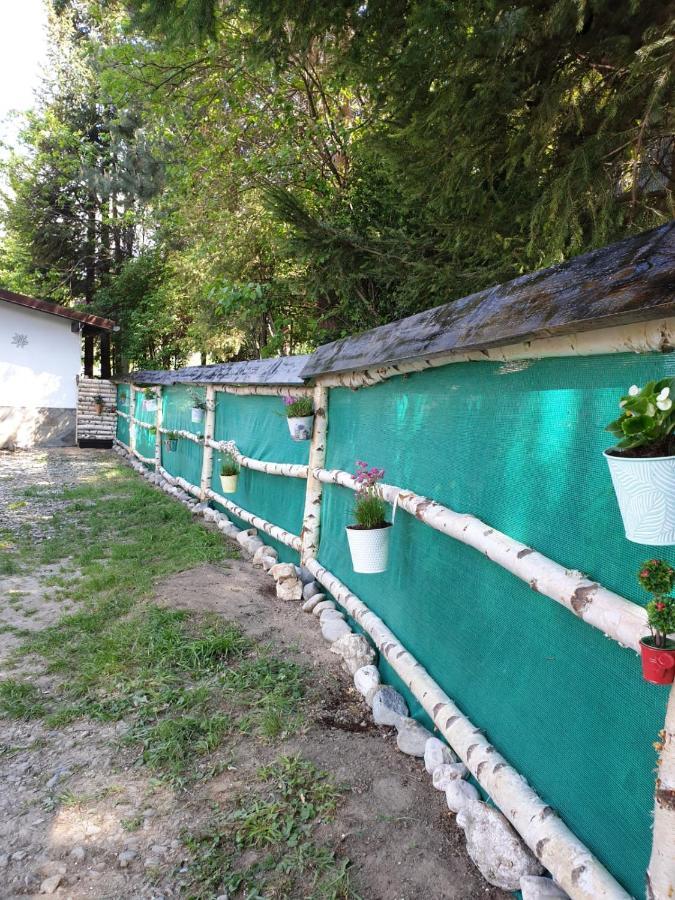 Pensiunea Padina Bran  Esterno foto