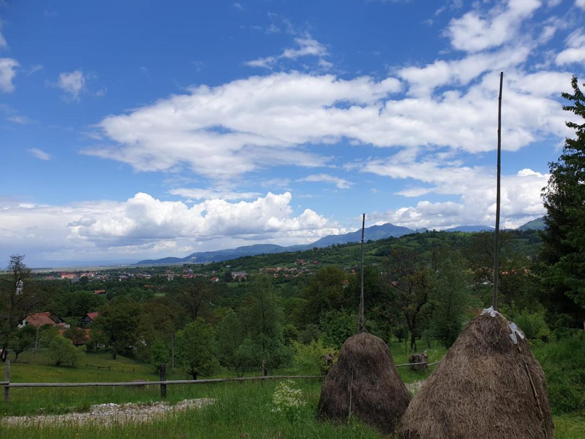 Pensiunea Padina Bran  Esterno foto